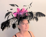 Ostrich Feather Fantasy