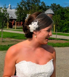 Chantilly Lace Birdcage Veil