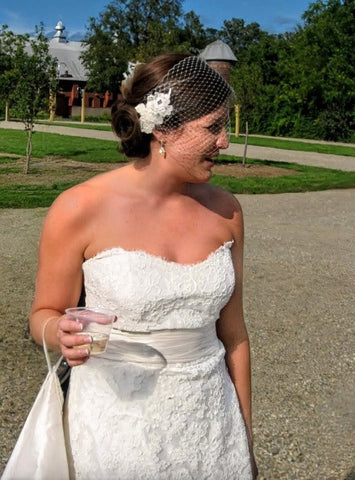 Chantilly Lace Birdcage Veil