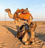 2 Guests Travel Adventure Textile Workshop (9 days Total) + (3/nights in desert)
