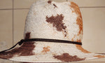 Painted Fedora Straw Hat